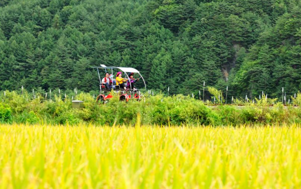 [상품코드 5600] [정선 1박2일] KTX 동해바다*정선 가리왕산케이블카&레일바이크*옥산장 우수여행상품선정(가이드동행)(전일정식사제공4식)