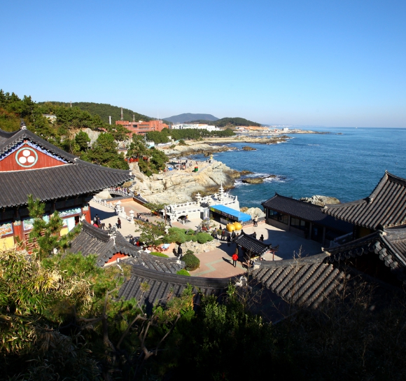[상품코드 9805] 당일 - 부산시티투어 2탄  해운대 해변열차 & 용궁사 & 이색등대 여행(중식제공)가이드동행