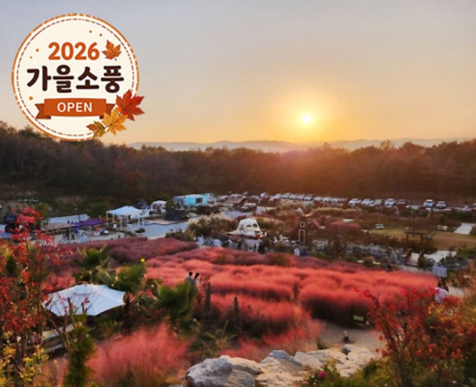 [상품코드 4051] 당일강릉여행  ◆가을맞이◆[KTX-당일]커피향기 가득 강릉커피축제+핑크뮬리 (10/21~25일까지)