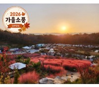 [상품코드 4051] 당일강릉여행  ◆가을맞이◆[KTX-당일]커피향기 가득 강릉커피축제+핑크뮬리 (10/21~25일까지)