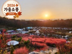 [상품코드 4051] 당일강릉여행  ◆가을맞이◆[KTX-당일]커피향기 가득 강릉커피축제+핑크뮬리 (10/21~25일까지)