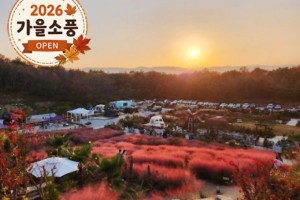 [상품코드 4051] 당일강릉여행  ◆가을맞이◆[KTX-당일]커피향기 가득 강릉커피축제+핑크뮬리 (10/21~25일까지)