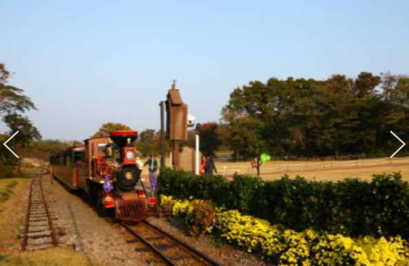 [상품코드 9797] 2박3일 제주여행  항공 - 놀멍 쉬멍 섬투어!! 가파도 & 에코랜드 여행(2박3일)