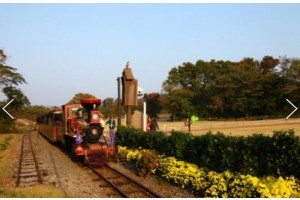 [상품코드 9797] 2박3일 제주여행  항공 - 놀멍 쉬멍 섬투어!! 가파도 & 에코랜드 여행(2박3일)