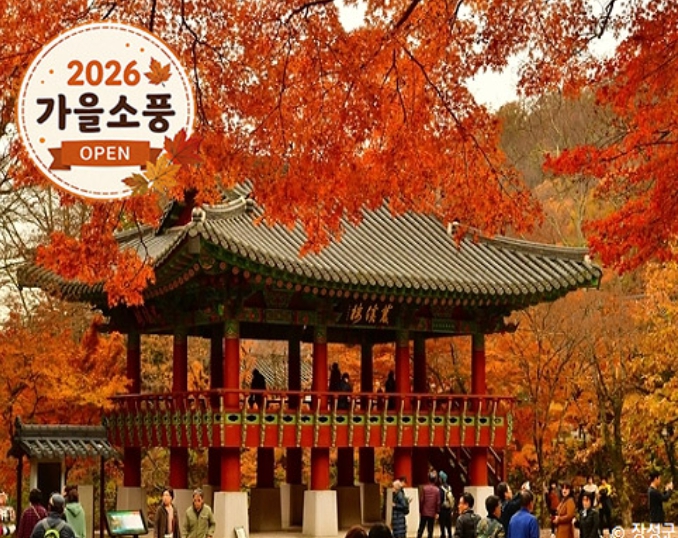 [상품코드 4921]  당일내장산의 백양사여행  - ◆가을맞이◆ [KTX-당일]천년 고찰 백양사와 물멍 꽃멍 황룡강/장성호