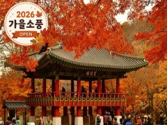 [상품코드 4921]  당일내장산의 백양사여행  - ◆가을맞이◆ [KTX-당일]천년 고찰 백양사와 물멍 꽃멍 황룡강/장성호