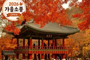 [상품코드 4921]  당일내장산의 백양사여행  - ◆가을맞이◆ [KTX-당일]천년 고찰 백양사와 물멍 꽃멍 황룡강/장성호