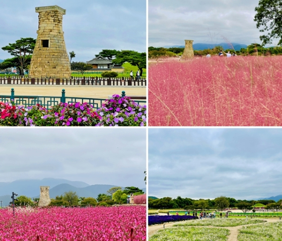 [상품코드 5871] 1박2일  - KTX / SRT 경북탐방 ★포항 환호공원/호미곶/구룡포/내연산★ (가이드 동행)(전일정식사제공5식)