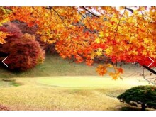 [상품코드 6031] 당일 무궁화호 - 대통령별장 청남대 가을단풍 & 괴산 산막이옛길 여행  [중식제공]