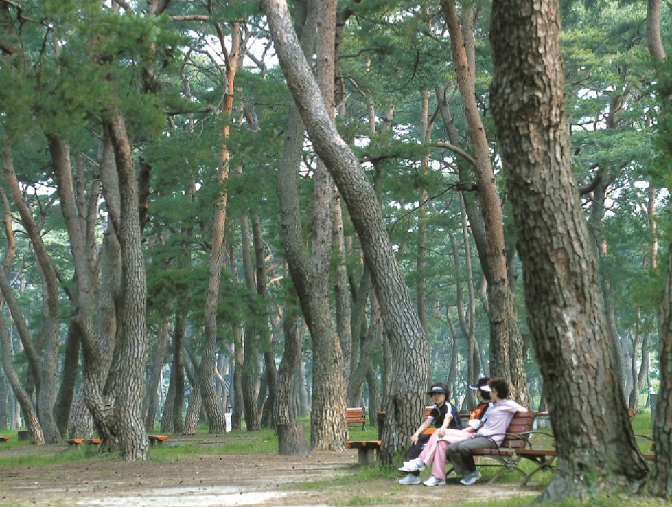 [상품코드 5281] 2박3일 - 순천/여수/남해/장흥/강진 기차여행  KTX / SRT ◈남해 완전일주 & 남도별미 ◈  (가이드 동행)(전일정식사제공8식)출발확정~! 베스트