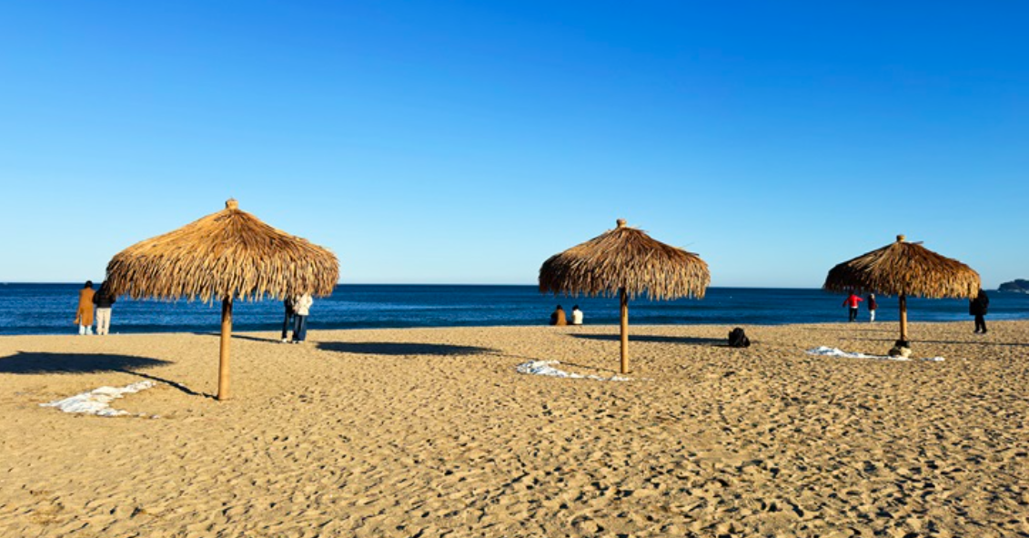 [상품코드 5461] 1박2일 - 강원도기차여행 (춘천 삼악산 케이블카/설악 주전골/낙산사/주문진/협곡열차/단양 마늘밥정식)★SL호텔 강릉★ (가이드 동행)(토요일만출발)