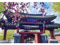 [상품코드 8787]  남이섬기차여행 당일 - ITX청춘- 남이섬 & 구곡폭포ㆍ구봉산 카페거리 기차여행(중식제공)