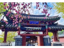 [ 남이섬기차여행 당일 - ITX청춘- 남이섬 & 구곡폭포ㆍ구봉산 카페거리 기차여행(중식제공)
