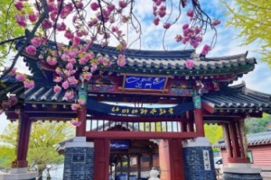 [ 남이섬기차여행 당일 - ITX청춘- 남이섬 & 구곡폭포ㆍ구봉산 카페거리 기차여행(중식제공)