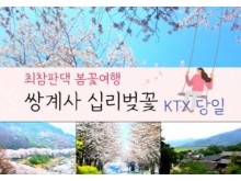 [ 당일 - 화개장터벚꽃기차여행 ] KTX  / SRT - 환상의 쌍계사 십리벚꽃*화개장터 & 최참판댁 봄꽃여행 출발확정 ~!