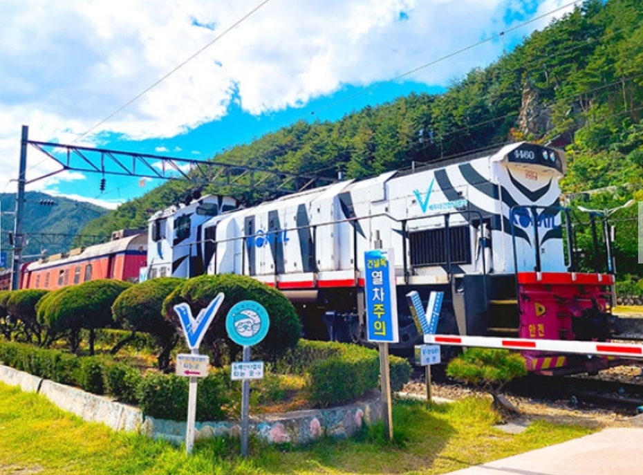 [상품코드 7300]  당일 협곡열차 태백택시투어 1코스   V-train& 동해산타열차 정동진, 태백택시투어(출발확정)