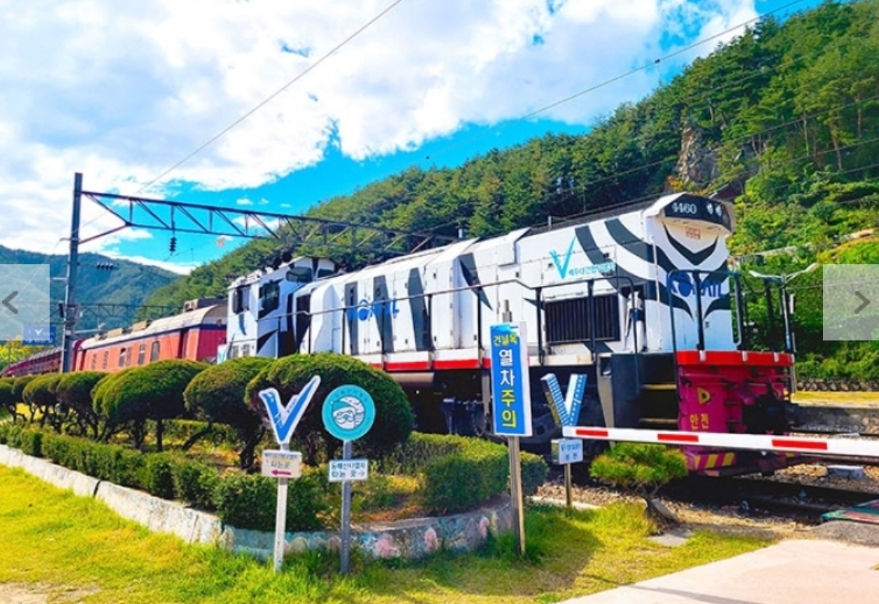 [상품코드 7300]  당일 협곡열차 태백택시투어 1코스   V-train& 동해산타열차 정동진, 태백택시투어(출발확정)