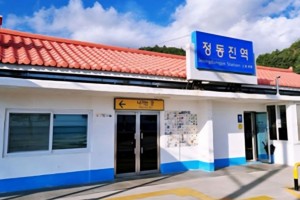 [상품코드 7300]  당일 협곡열차 태백택시투어 1코스   V-train& 동해산타열차 정동진, 태백택시투어(출발확정)