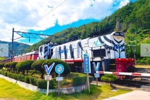 [상품코드 7300]  당일 협곡열차 태백택시투어 1코스   V-train& 동해산타열차 정동진, 태백택시투어(출발확정)