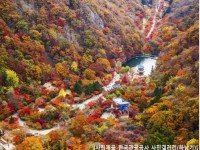 [상품코드 4244]  당일 내장산기차여행  ◆가을맞이◆[KTX][SRT] (1식포함)조선8경 오색단풍 내장산+익산 미륵사지