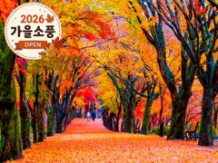 [상품코드 4244]  당일 내장산기차여행  ◆가을맞이◆[KTX][SRT] (1식포함)조선8경 오색단풍 내장산+익산 미륵사지