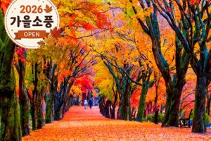 [상품코드 4244]  당일 내장산기차여행  ◆가을맞이◆[KTX][SRT] (1식포함)조선8경 오색단풍 내장산+익산 미륵사지