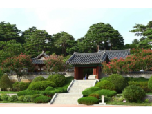 [상품코드 6300] 당일 - 택시투어(편안하고 안전한)  [당일/전세택시]우리끼리 단독! 강릉 택시투어 기차여행 출발확정