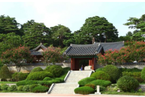 [상품코드 6300] 당일 - 택시투어(편안하고 안전한)  [당일/전세택시]우리끼리 단독! 강릉 택시투어 기차여행 출발확정