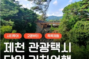 [상품코드 6100]  당일 - 택시투어 (안전하고 편안한여행) - [KTX] 제천 택시여행 (옥순봉 출렁다리 & 청풍호반케이블카 &족욕체험) 출발확정~