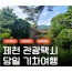 [상품코드 6100]  당일 - 택시투어 (안전하고 편안한여행) - [KTX] 제천 택시여행 (옥순봉 출렁다리 & 청풍호반케이블카 &족욕체험) 출발확정~