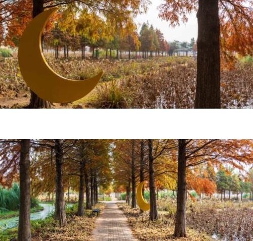 [상품코드 4840] 당일청산수목원여행 ◆가을맞이◆[무궁화호]꽃물결 태안 청산수목원+간월암+예산시장