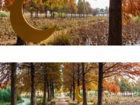 [상품코드 4840] 당일청산수목원여행 ◆가을맞이◆[무궁화호]꽃물결 태안 청산수목원+간월암+예산시장