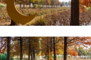 [상품코드 4840] 당일청산수목원여행 ◆가을맞이◆[무궁화호]꽃물결 태안 청산수목원+간월암+예산시장