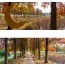 [상품코드 4840] 당일청산수목원여행 ◆가을맞이◆[무궁화호]꽃물결 태안 청산수목원+간월암+예산시장