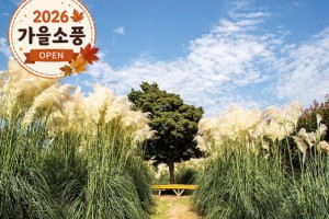 [상품코드 4840] 당일청산수목원여행 ◆가을맞이◆[무궁화호]꽃물결 태안 청산수목원+간월암+예산시장