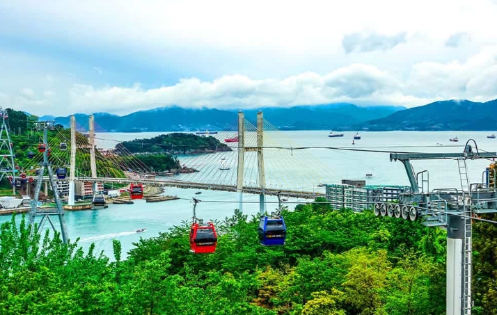 [상품코드 8784] 당일 - 여수 케이블카/낭만요트여행  내품안에여수!! 요트탑승, 케이블카,오동도 [4명출발확정][무궁화-수원/천안/서대전/익산/전주 출발]