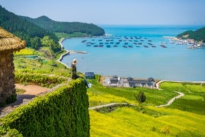 [상품코드 4484][1박2일 - 청산도 기차여행] - KTX / SRT   - 시인의 섬 완도 보길도/푸르른 청산도 땅끝여행 1박2일