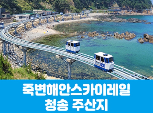[ 당일기차여행 수도권/충청출발 ] - 죽변해안스카이레일&청송 주산지(당일)  서울/경기/충청/부산 출발 [중,석식제공]