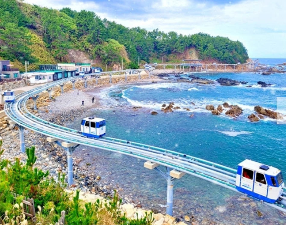 [상품코드 7474]  당일기차여행 수도권/충청권/경상권 출발 - 죽변해안스카이레일&청송 주산지(가이드동행)  [중,석식제공]
