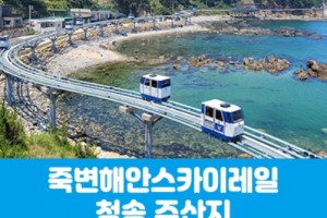 [ 당일기차여행 수도권/충청출발 ] - 죽변해안스카이레일&청송 주산지(당일)  서울/경기/충청/부산 출발 [중,석식제공]
