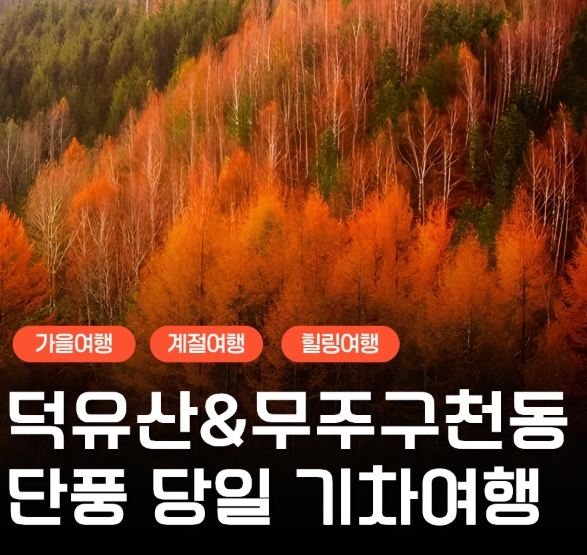 [상품코드 6199]  당일 -덕유산기차여행  [KTX,서울,수원] 덕유산 단풍 곤도라&무주구천동&금산 인삼시장 당일 기차여행-중식포함