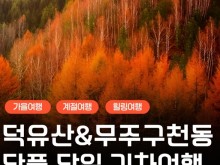 [상품코드 6199]  당일 -덕유산기차여행  [KTX,서울,수원] 덕유산 단풍 곤도라&무주구천동&금산 인삼시장 당일 기차여행-중식포함