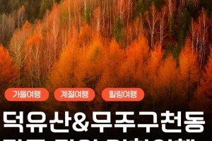 [상품코드 6199]  당일 -덕유산기차여행  [KTX,서울,수원] 덕유산 단풍 곤도라&무주구천동&금산 인삼시장 당일 기차여행-중식포함