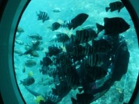 [상품코드 4050] 2박3일 제주도여행  [노팁!노옵션!] 제주도 2박3일 버스PKG관광 마라도일주 + 서귀포잠수함 + 우도8경(2명출발확정)