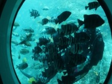 [상품코드 4050] 2박3일 제주도여행  [노팁!노옵션!] 제주도 2박3일 버스PKG관광 마라도일주 + 서귀포잠수함 + 우도8경(2명출발확정)