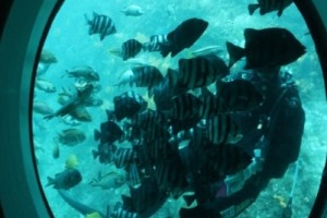 [상품코드 4050] 2박3일 제주도여행  [노팁!노옵션!] 제주도 2박3일 버스PKG관광 마라도일주 + 서귀포잠수함 + 우도8경(2명출발확정)