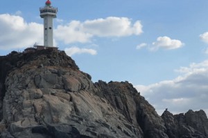 [상품코드 6171] [ 1박2일 - 거문도,백도 기차여행 ] - KTX - 환상의섬! 거문도 & 백도 여행(1박2일) 출발확정