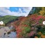 [상품코드 1424] 당일와인열차여행 [국악와인열차] 10월 20(화) 가을 첫 단풍! 태백 철암 단풍군락지 / 구문소