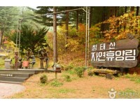 [상품코드 4181] 당일먹방한우가을여행 ◆가을맞이◆ [KTX-당일]*중식제공*횡(행)복한 한우 먹방·횡성 청태산+호수길 [중식(한우 무한리필]