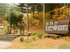[상품코드 4181] 당일먹방한우가을여행 ◆가을맞이◆ [KTX-당일]*중식제공*횡(행)복한 한우 먹방·횡성 청태산+호수길 [중식(한우 무한리필]